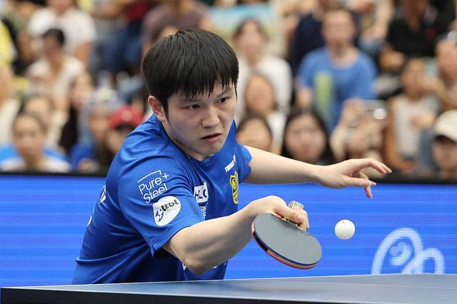 仁提供了更 仁提供了更