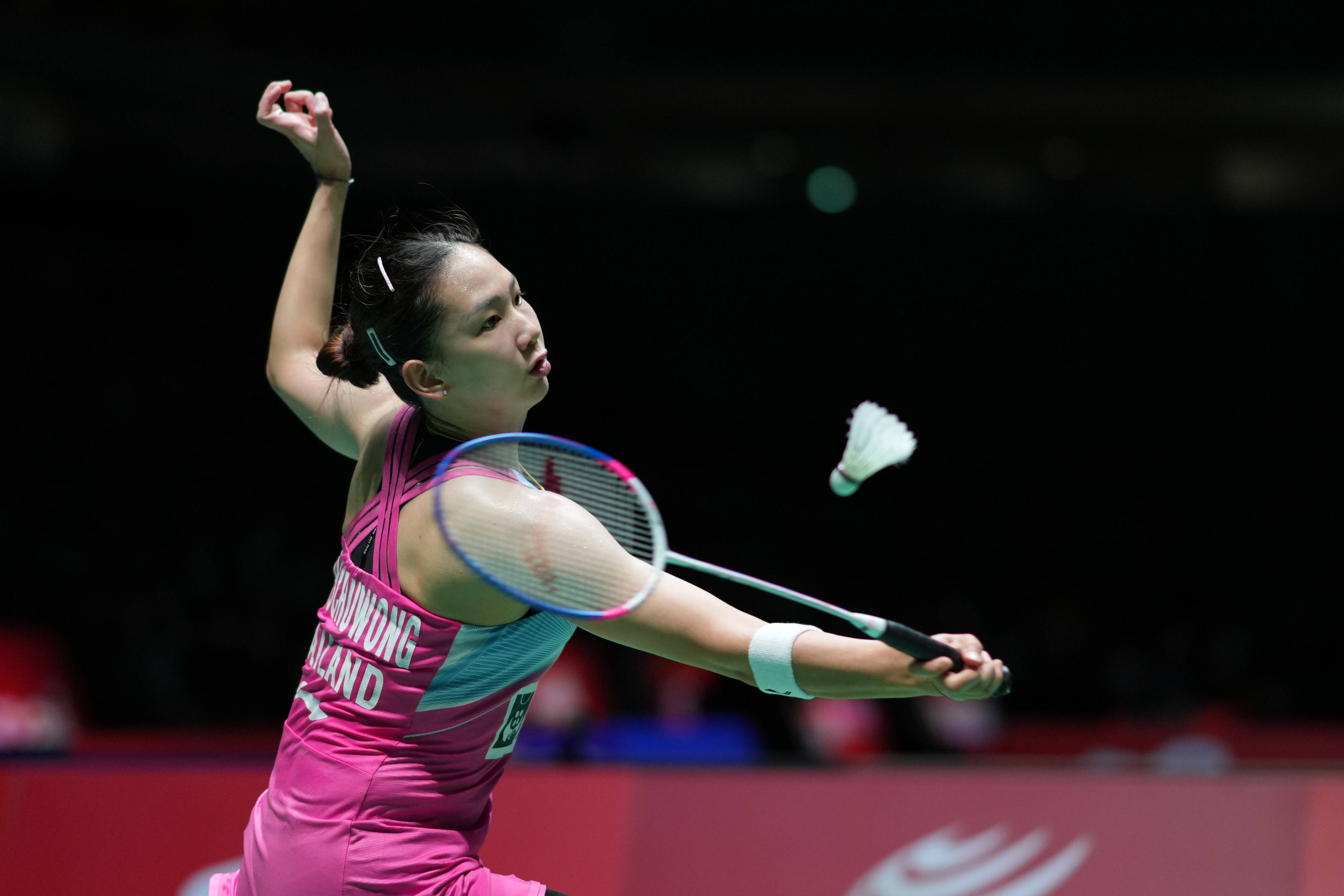 南虎的战术 南虎的战术